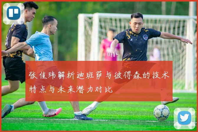 张佳玮解析迪班萨与彼得森的技术特点与未来潜力对比