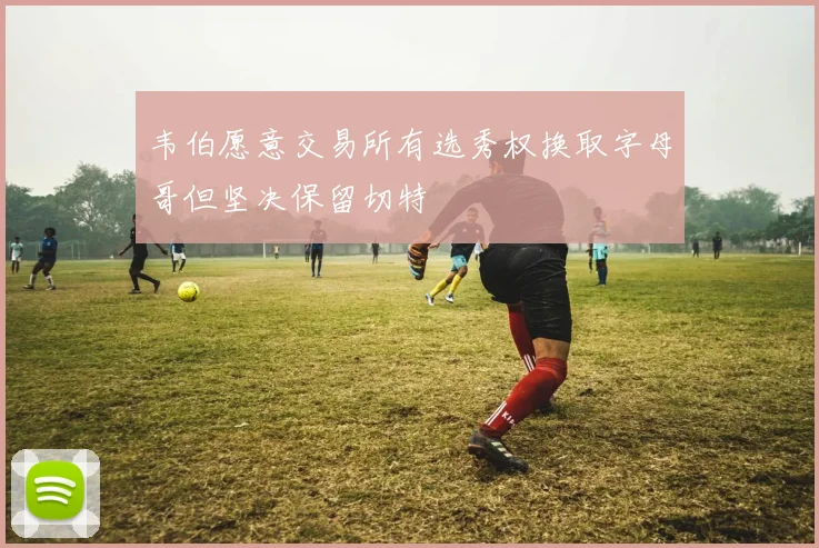 韦伯愿意交易所有选秀权换取字母哥但坚决保留切特