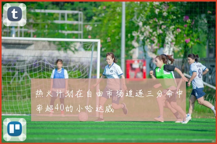 热火计划在自由市场追逐三分命中率超40的小哈达威