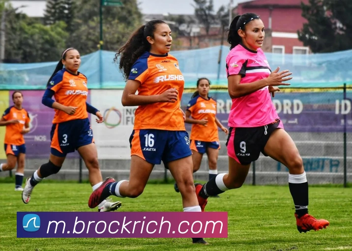 数据分析功能